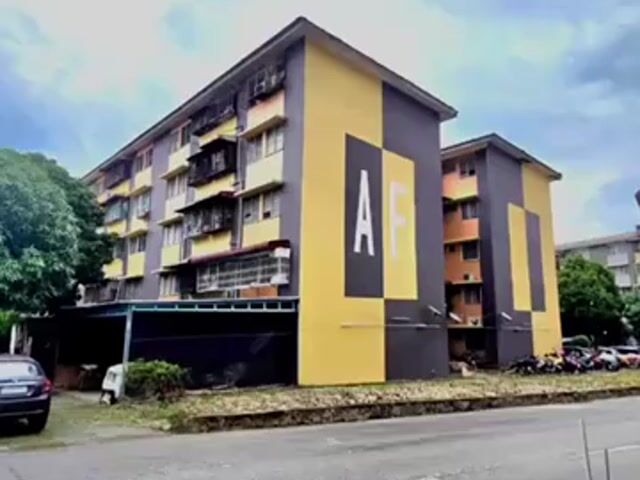 Video Image 1