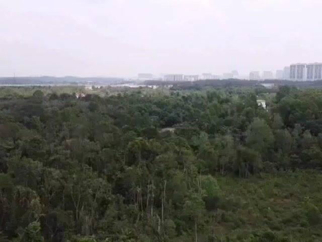 Video Image 1