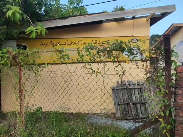 Video Image 1