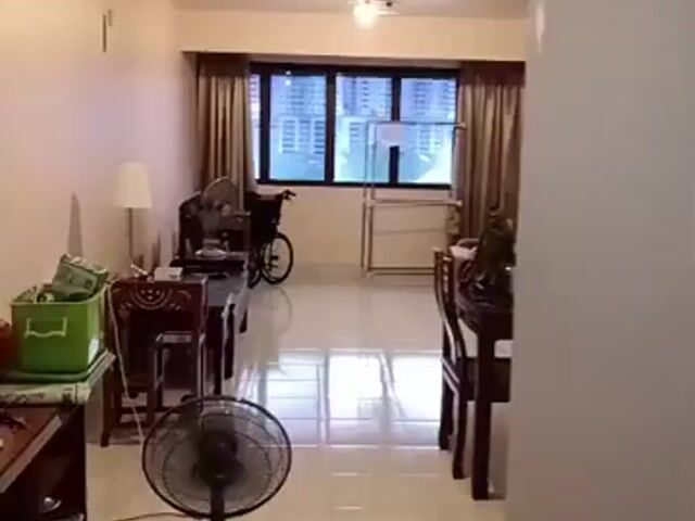 Video Image 1