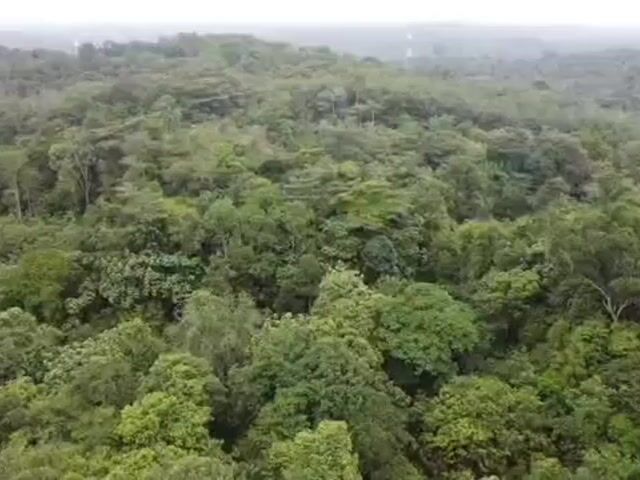 Video Image 1