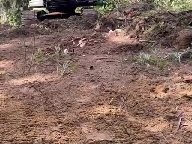 Video Image 1