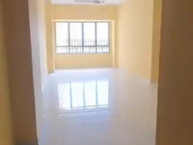 Video Image 1