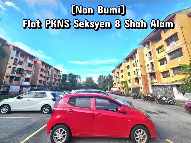 Video Image 1