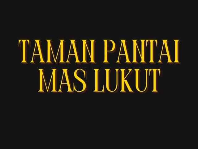 Video Image 1