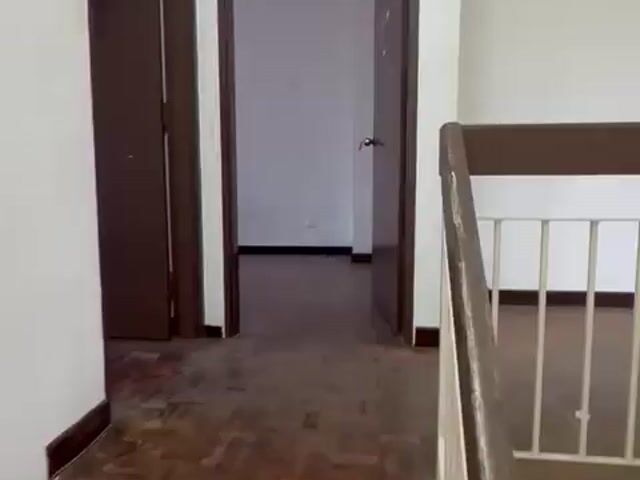 Video Image 1