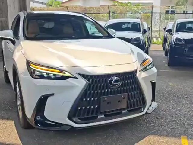 2023 Lexus NX250 2.5 LUXURY (A) 8 YEARS WARRANTY - 1
