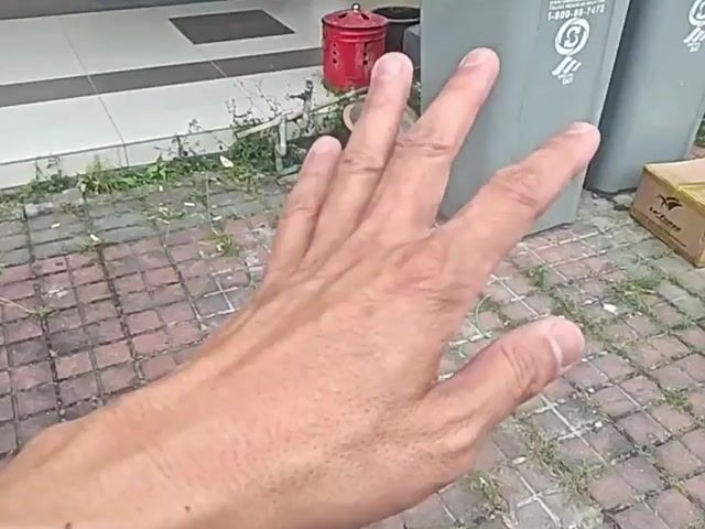 Video Image 1