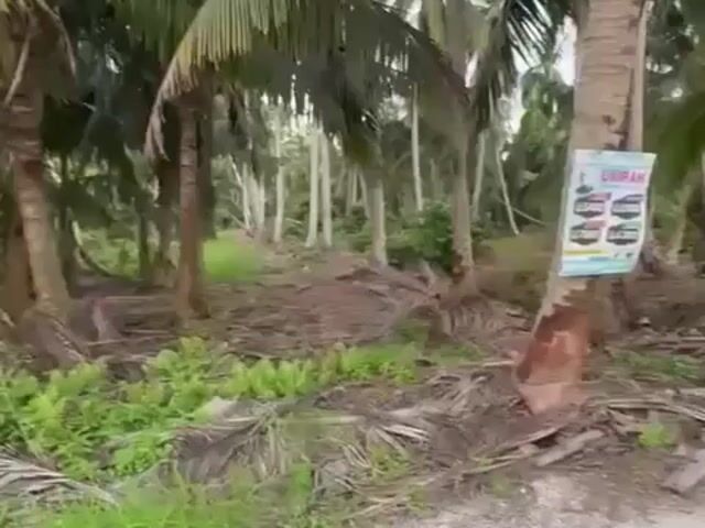 Video Image 1