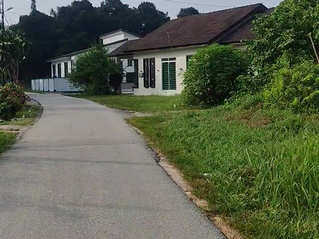 Video Image 1