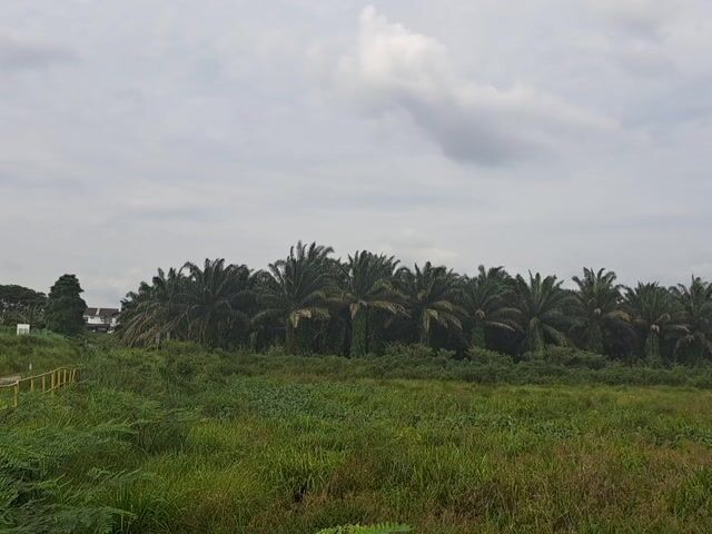 Video Image 1
