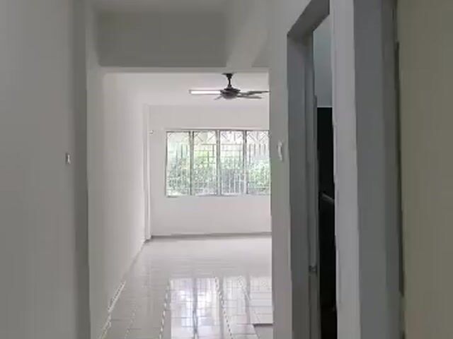 Video Image 1