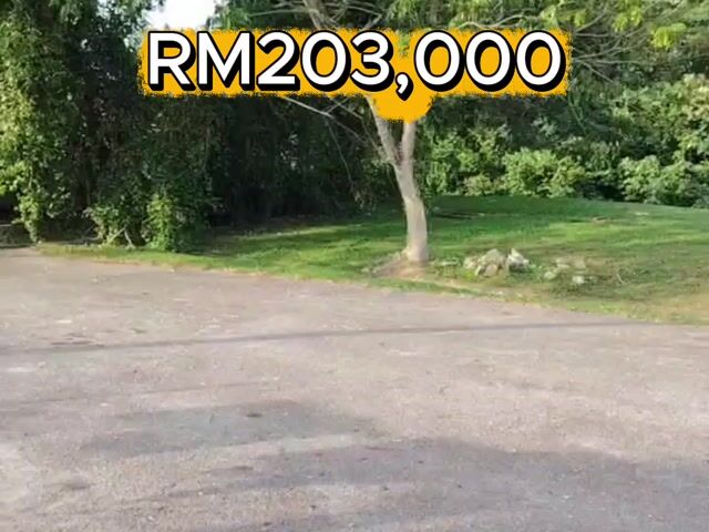 Video Image 1