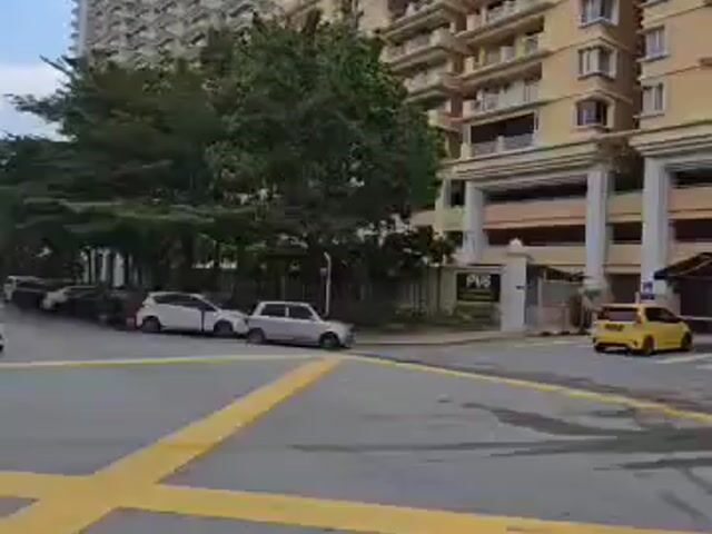 Video Image 1