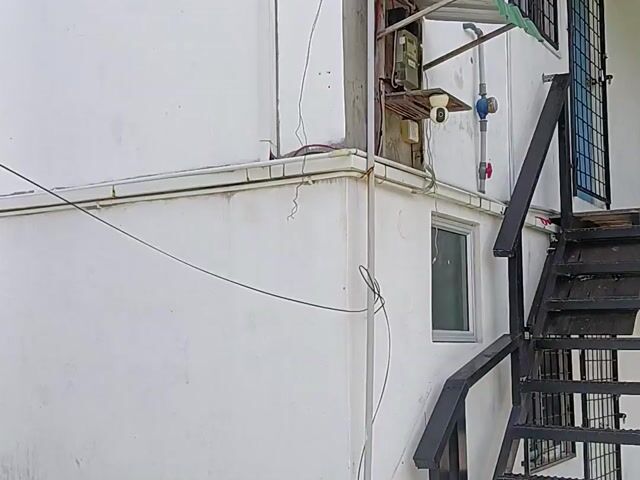 Video Image 1