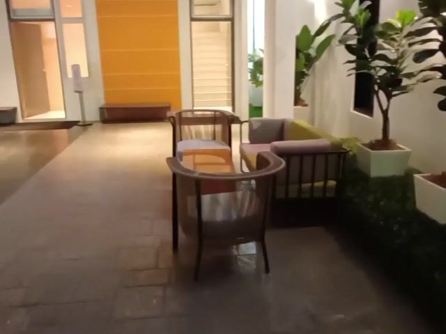 Video Image 1