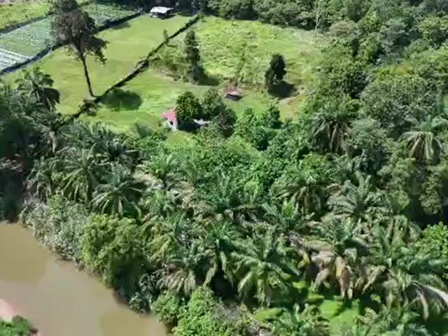 Video Image 1