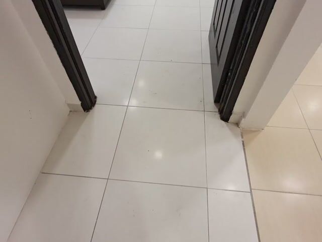 Video Image 1