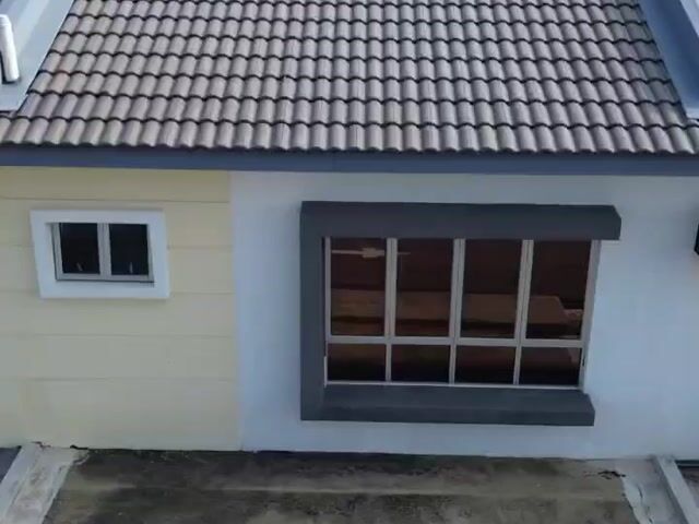 Video Image 1