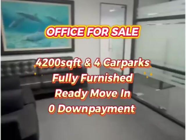 Video Image 1