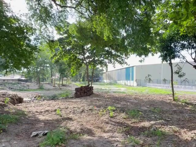Video Image 1