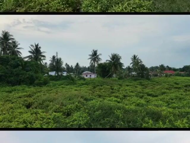 Video Image 1