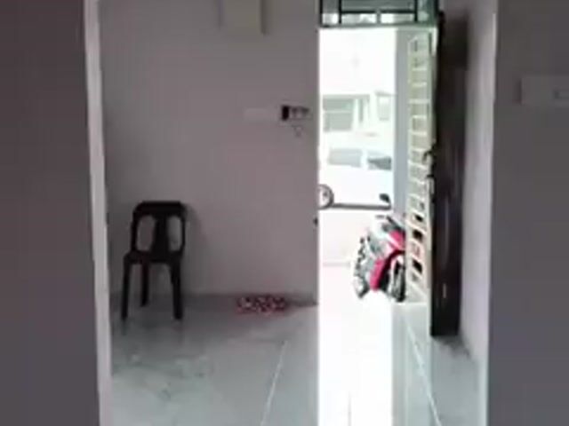 Video Image 1