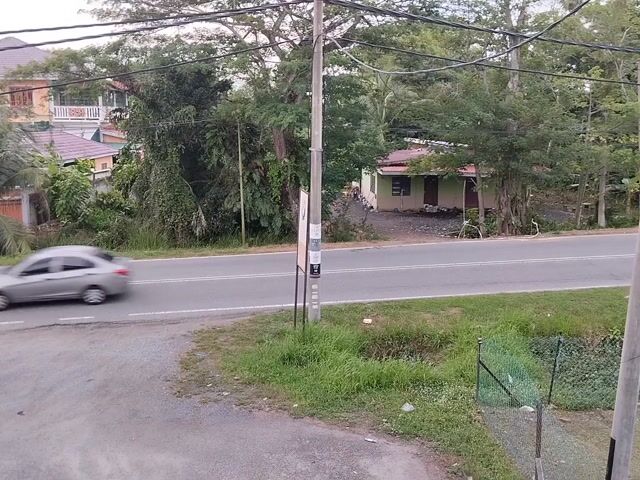 Video Image 1