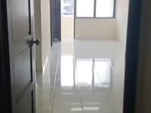 Video Image 1