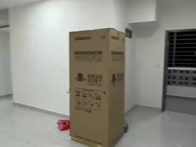 Video Image 1