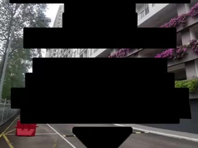 Video Image 1