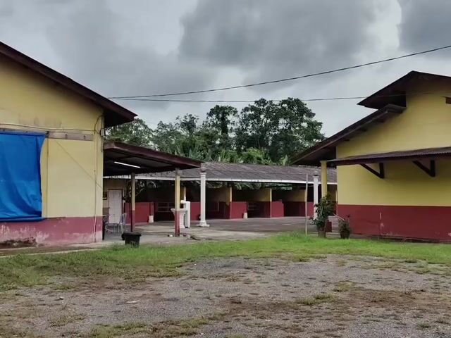 Video Image 1