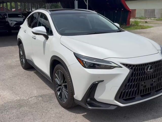 2023 Lexus NX 250 2.5 STANDARD(A)PRoof,BlkSeat,360 - 1