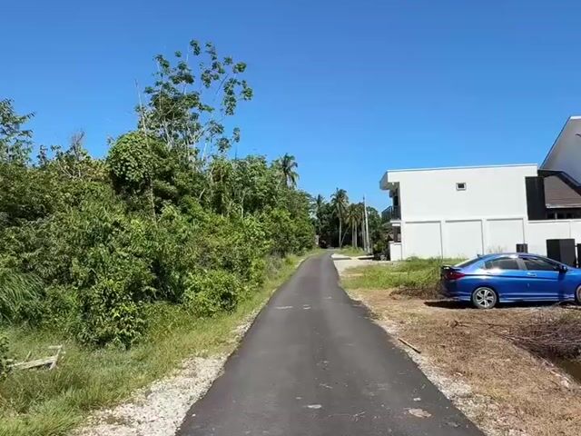 Video Image 1