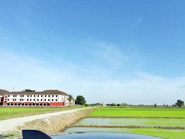 Video Image 1