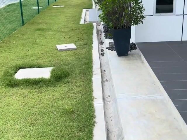 Video Image 1
