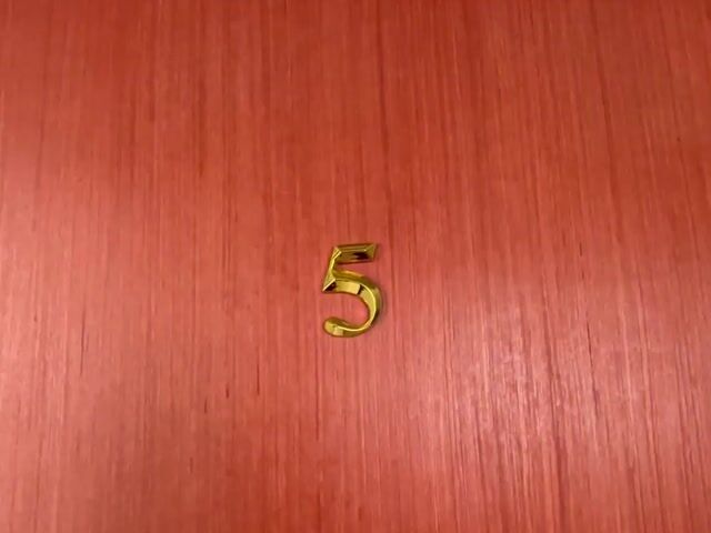 Video Image 1