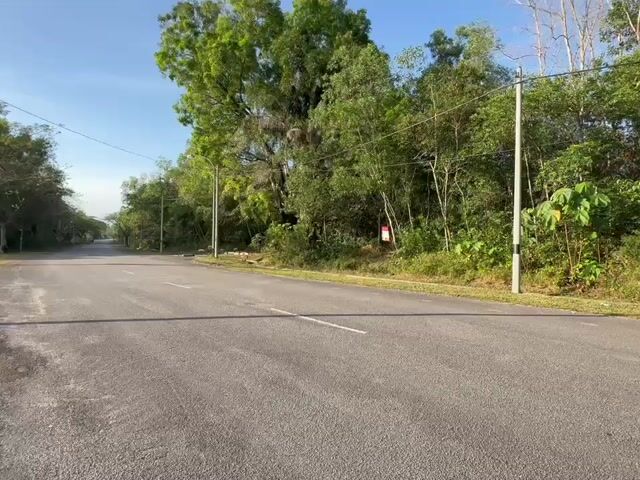 Video Image 1
