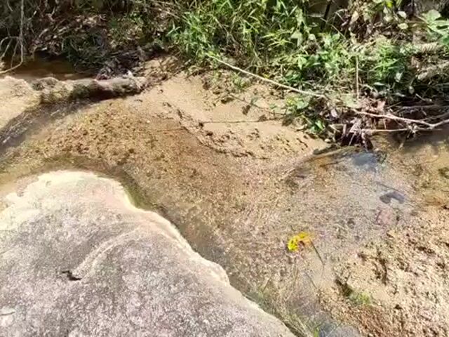 Video Image 1