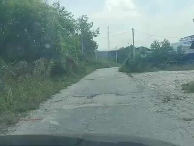 Video Image 1