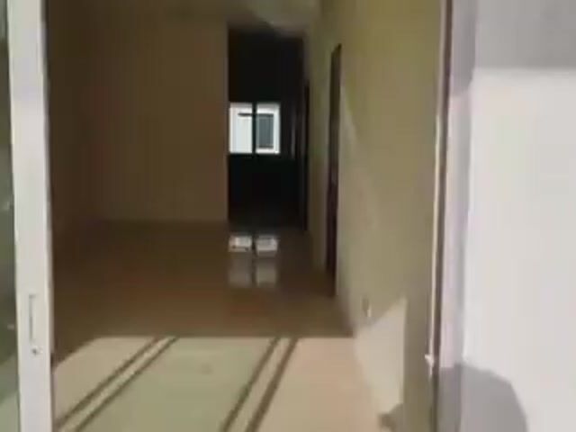 Video Image 1