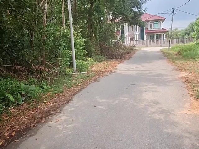 Video Image 1
