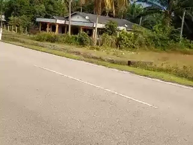 Video Image 1