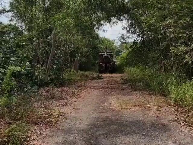 Video Image 1