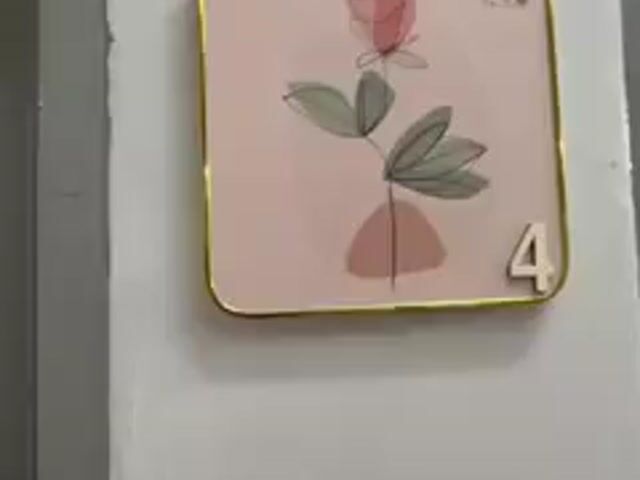 Video Image 1