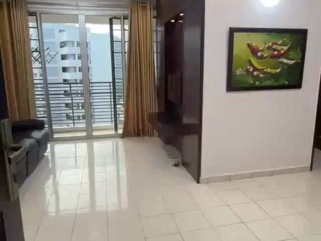 Video Image 1