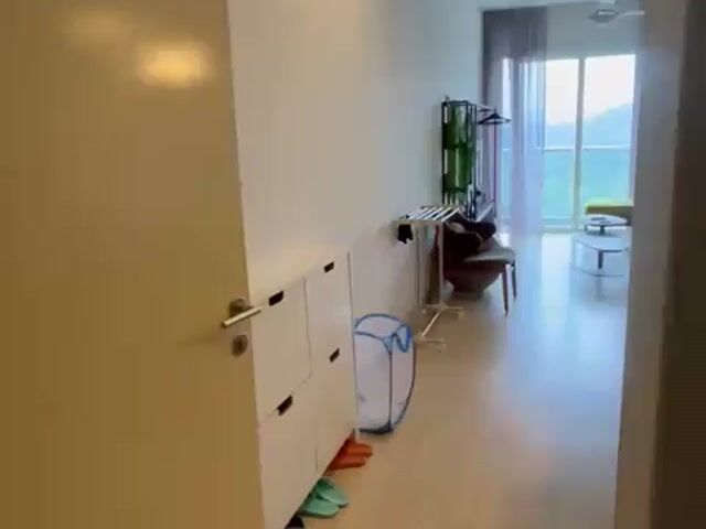 Video Image 1