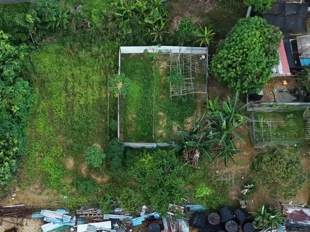 Video Image 1