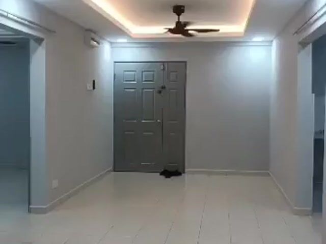 Video Image 1