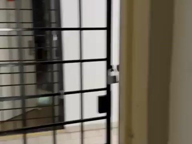 Video Image 1